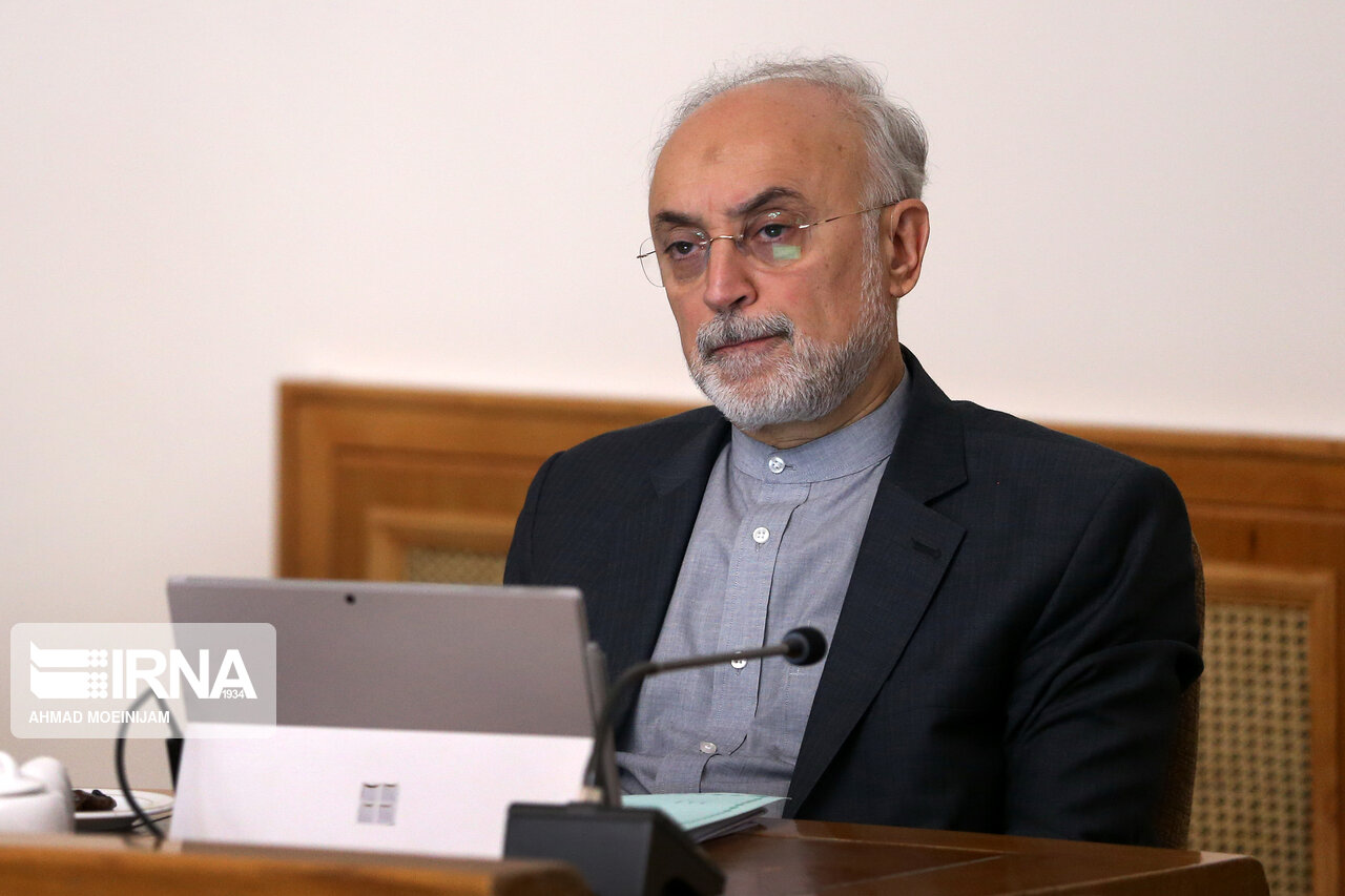 صالحی: شورای عالی امنیت ملی درباره عوامل خرابکاری حادثه نطنز نظر می‌دهد