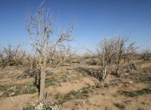 بیداد بی‌آبی در سرچشمه سه رود بزرگ کارون، زاینده‌رود و دز