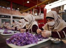 ایجاد بیش از ۷۰۰۰ فرصت شغلی در دو سال گذشته
