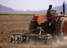 وجود ۳۰۰ هزار تراکتور فرسوده بالای 13 سال در کشور