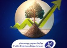 رشد درآمد بیمه معلم با تراز مثبت 83 درصد