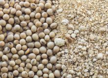 پیشنهاد واردات دانه سویا با تهاتر نفت