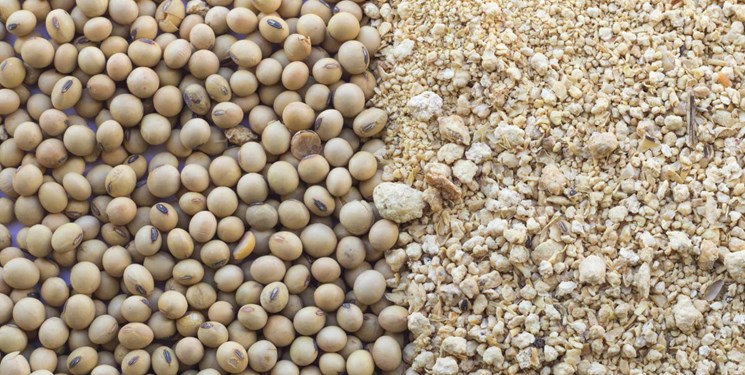 پیشنهاد واردات دانه سویا با تهاتر نفت
