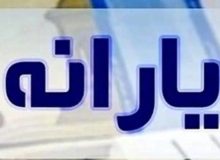 اجرای طرح یارانه مضاعف فجرانه از فردا