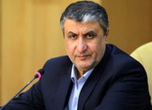 رئیس سازمان انرژی اتمی ابقا شد