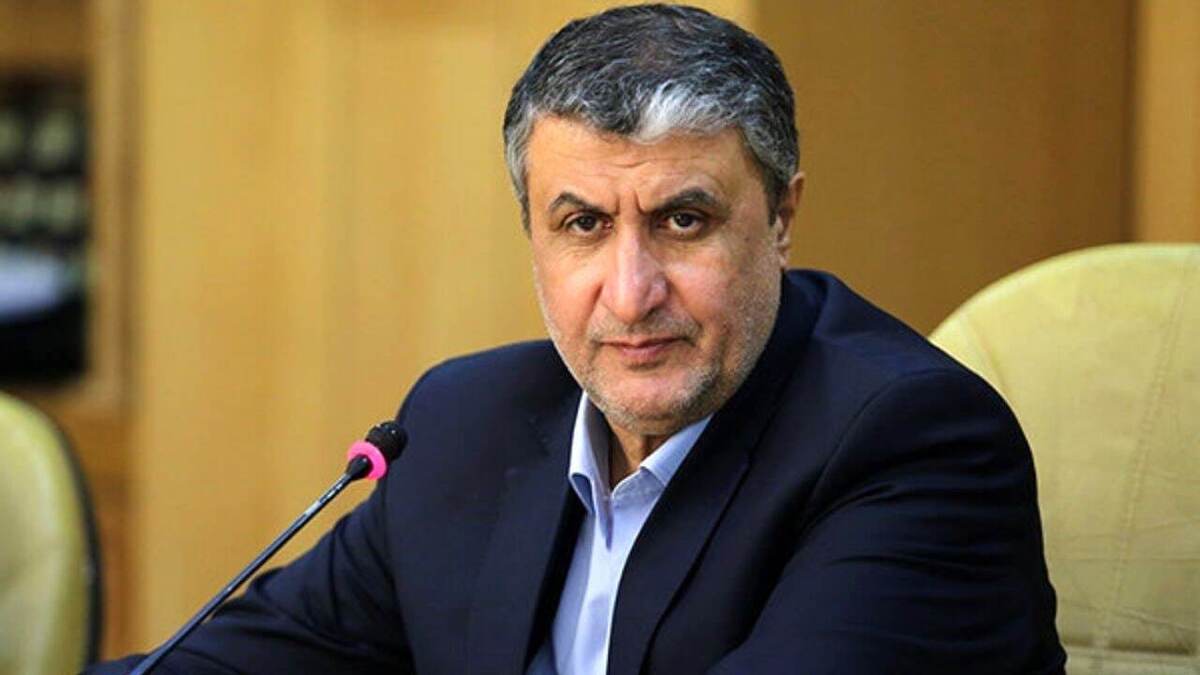 رئیس سازمان انرژی اتمی ابقا شد