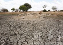 وای نت: بی آبی در اسراییل هزاران هکتار زمین کشاورزی را نابود کرده است
