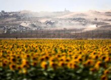 استفان والت؛ جهان پس از 7 اکتبر چگونه تغییر کرد؟