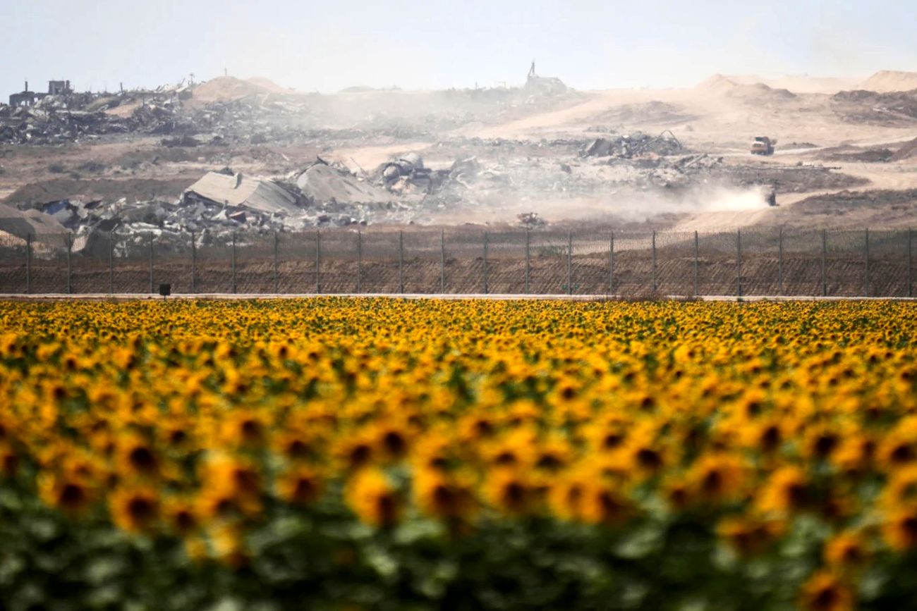 استفان والت؛ جهان پس از 7 اکتبر چگونه تغییر کرد؟